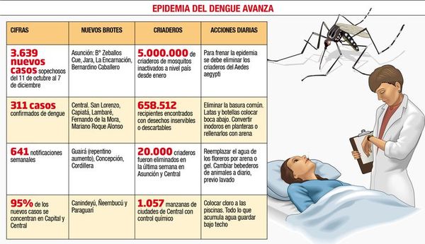 El epicentro de la nueva epidemia del dengue se instaló en Capital y Central - Locales - ABC Color