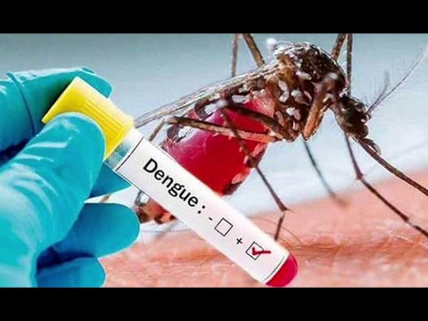 DENGUE: SE REGISTRA UN CASO POR TRANSMISIÓN SEXUAL
