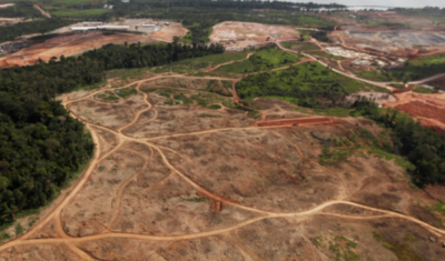 Registran 103,7% de deforestación  en la Amazonía brasileña