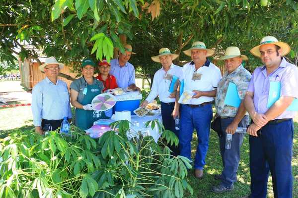 Yacyretá apoya capacitación de familias campesinas en Itapúa - Digital Misiones