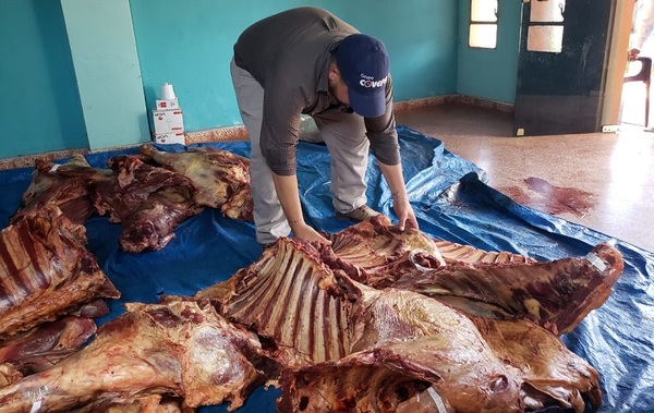 Abigeato: Incautan más de 500 kilos de carne en Caazapá