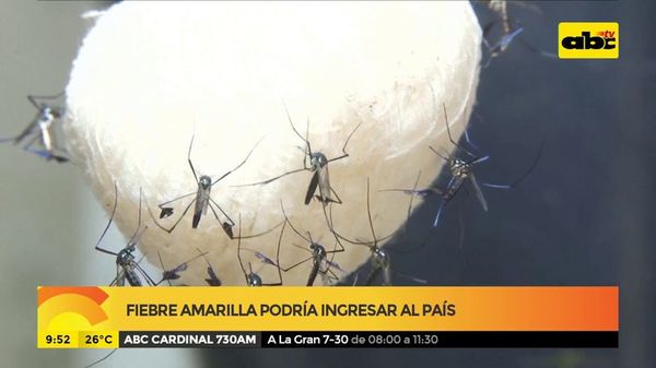 Vacunación contra la fiebre amarilla se realizará hoy en Asunción - Nacionales - ABC Color