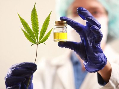 Cannabis medicinal abre las puertas a un nuevo rubro de exportación