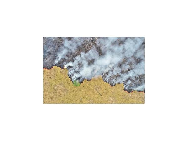 Deforestación en Amazonia subió el 104% en noviembre