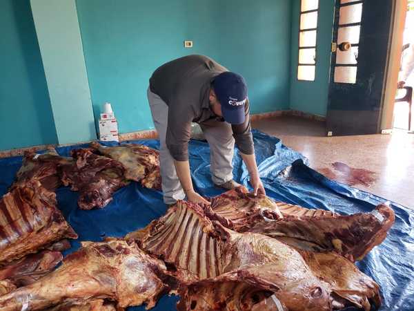 Incautan 510 kilos de carne, en investigación sobre Abigeato en Caazapá » Ñanduti