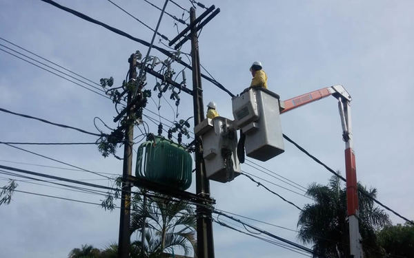 ANDE: Temporal afectó a 18 líneas de media tensión