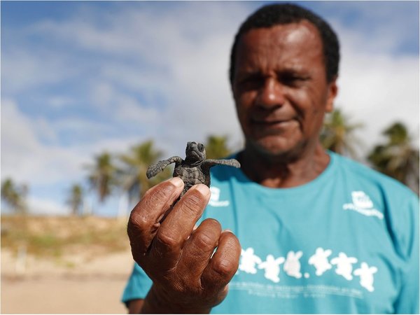 Seu Antonio, el salvador de tortugas más antiguo de Brasil