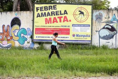 Desde Migraciones, recuerdan que es obligatorio vacunarse contra la fiebre amarilla 10 días antes de viajar - A La Gran 7-30 - ABC Color