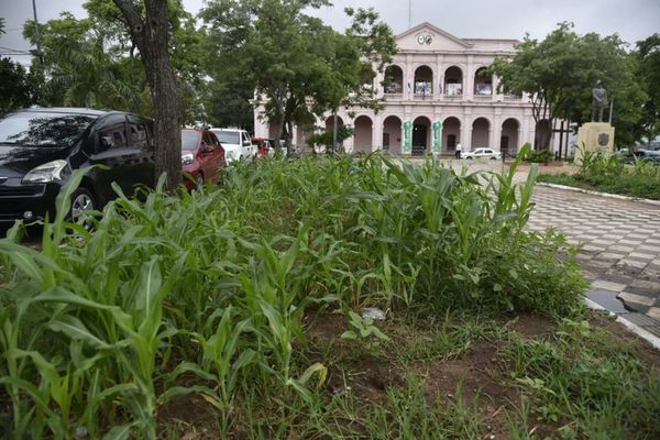 Una obra artística, en medio de una plaza destrozada - Nacionales - ABC Color