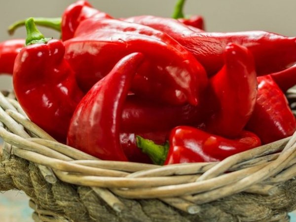 Los pimientos sazonan la comida y alargan la vida