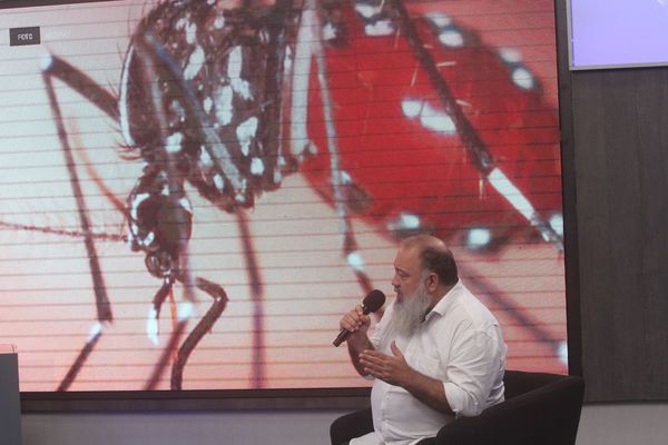 Preocupante situación ante actual epidemia de dengue