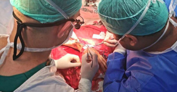 Primer implante de mano ojejapo en IPS
