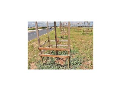 Afirman que 90% de plantines germinan en Costanera Norte