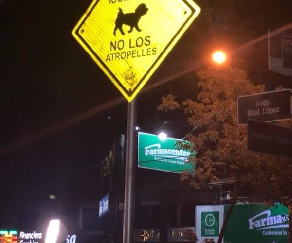 ¡Yo freno por los animales! Colocan carteles para concienciar a conductores