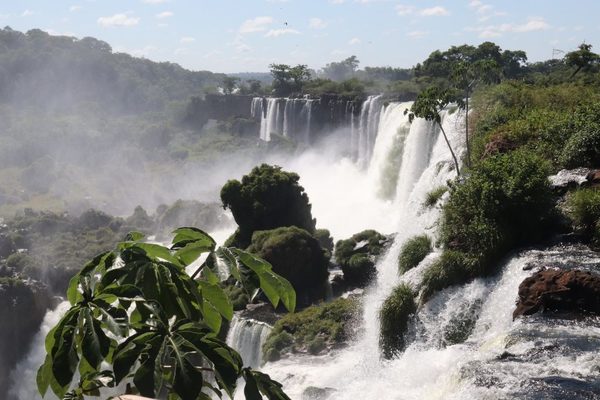 Un destino único con el toque natural ideal