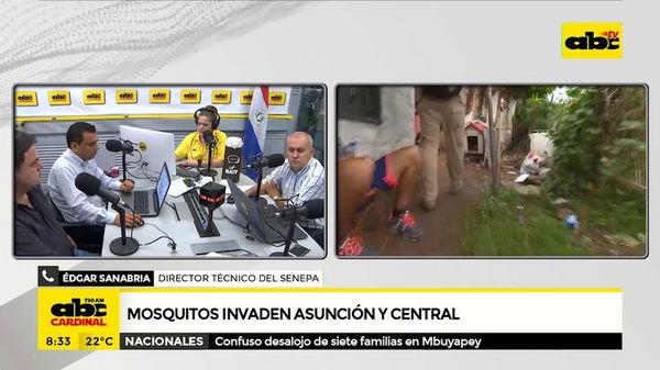 Mosquitos invaden Asunción - ABC Noticias - ABC Color