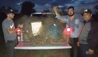 MÁS DE 5000 METROS DE REDES DECOMISADAS EN SAN COSME Y DAMIÁN