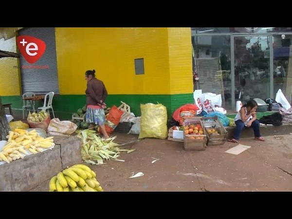 PRODUCTORAS AUMENTAN LA EXPECTATIVAS POR LAS VENTAS