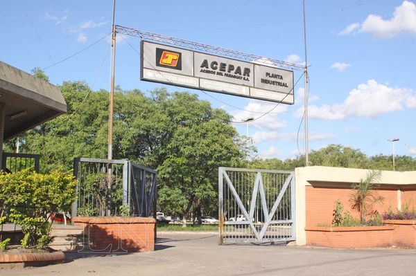 Grave situación de Acepar será analizada por una Comisión