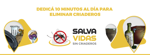 Lanzan campaña para combatir la arbovirosis