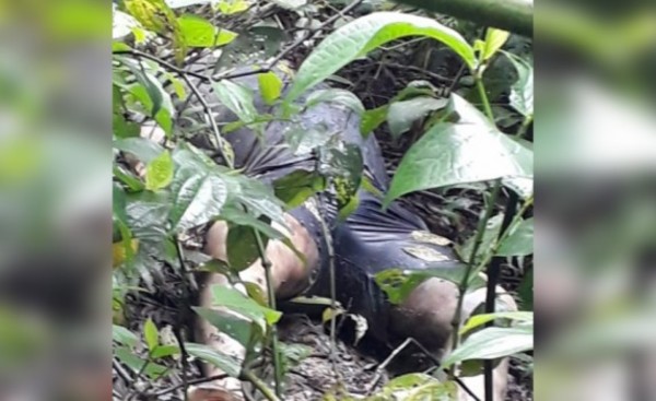 Hombre fue ejecutado según criminalística