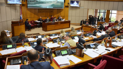 Debate libre para tratar paquete de reforma electoral en el Senado