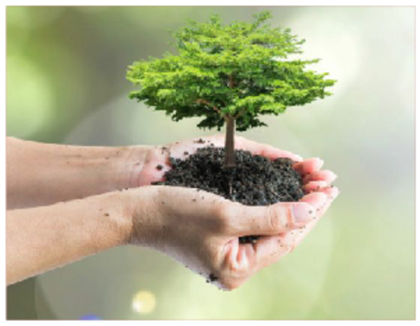 Empresas locales firman un acuerdo ambiental