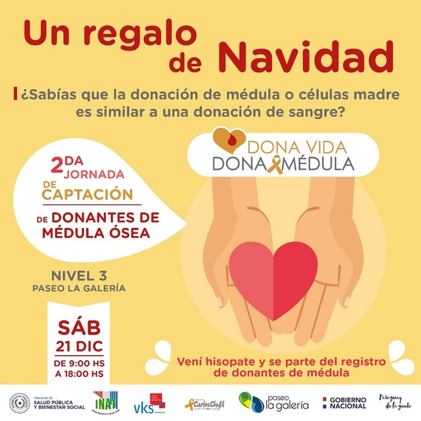 Inscribirte como donante de médula ósea puede ser ¡tu mejor regalo de Navidad! | .::Agencia IP::.