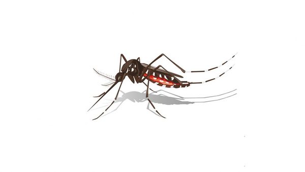 Epidemia de dengue: un posible negociado