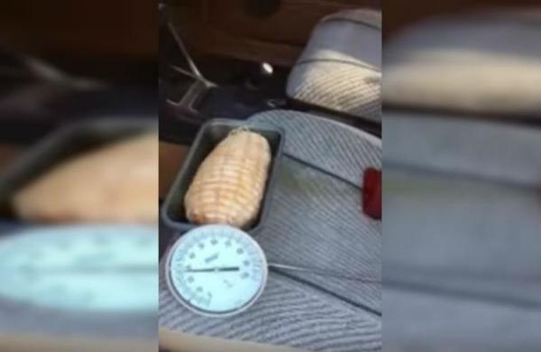 Hombre cocina un pedazo de carne dentro de su auto durante un caluroso día en Australia - SNT