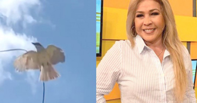 Blanca López, ¡atacada por un furioso pitogue!