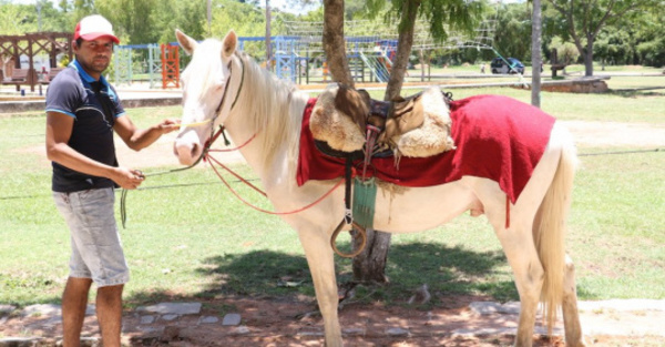 “Pegaso”, caballo de oro que pasea por Areguá