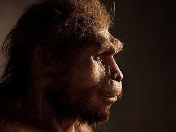 Los últimos Homo erectus vivieron hace unos 117.000 años