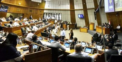 Control de “dinero sucio”: harán último intento para tratar proyecto  - Nacionales - ABC Color
