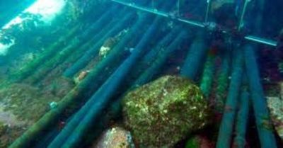 La fibra óptica submarina es un potencial detector sísmico  - Ciencia - ABC Color
