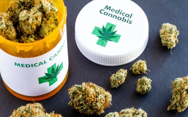 Cannabis medicinal: Senador afirmó que no se puede limitar cantidad de laboratorios