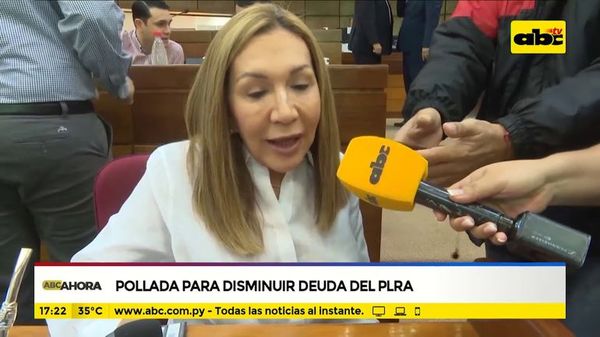 Pollada para disminuir deuda del PLRA - ABC Noticias - ABC Color