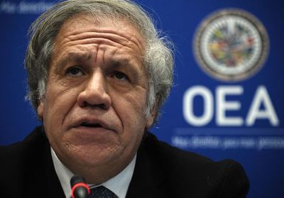 Almagro estima que será reelecto como secretario general de la OEA - Mundo - ABC Color