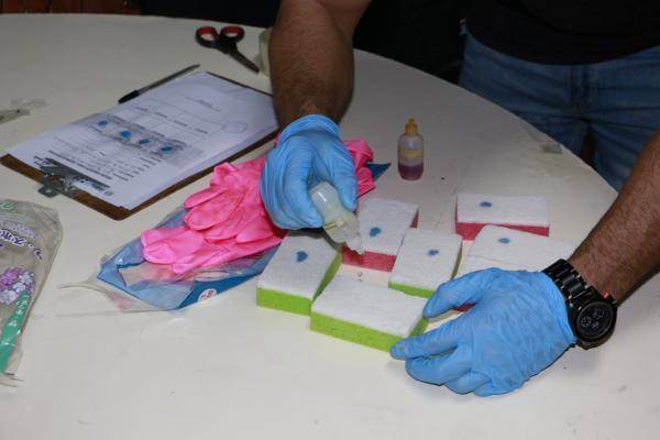 Hallan cocaína en toallitas húmedas y esponjas - ADN Paraguayo