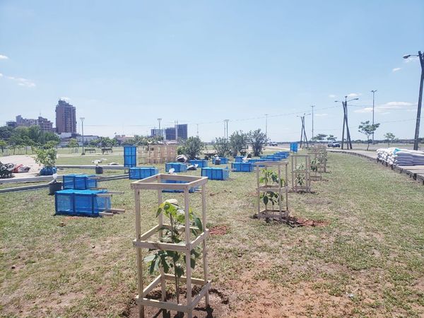 Plantaron un total de 100 árboles en la Costanera de Asunción