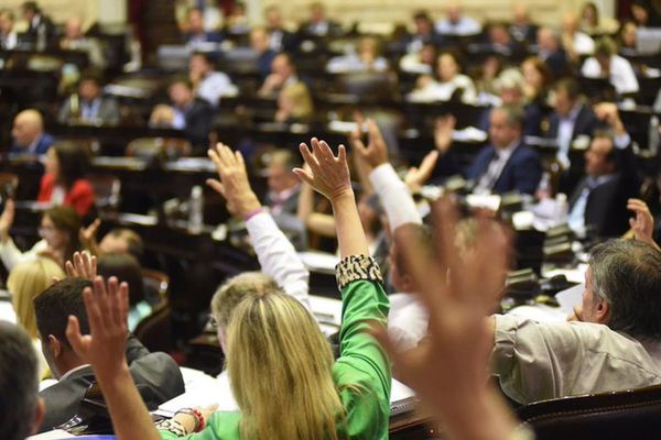Fernández logra media sanción a emergencia económica en Congreso argentino