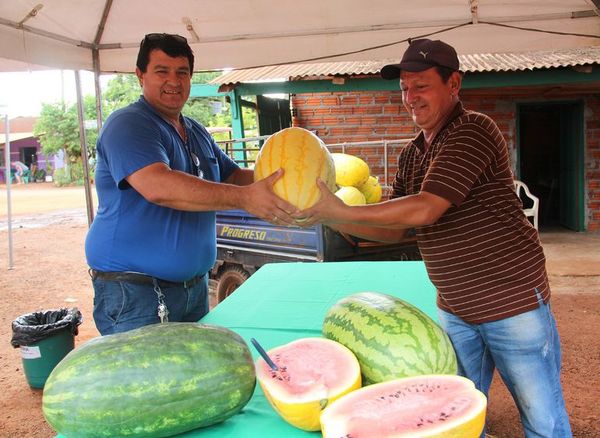 En Tavapy producen sandías amarillas - Nacionales - ABC Color