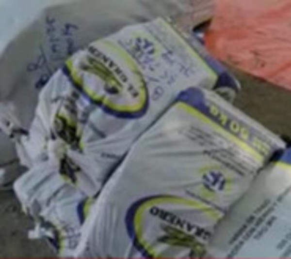 Decomisan 449 kilos de marihuana en Ñe´embucú - Paraguay.com