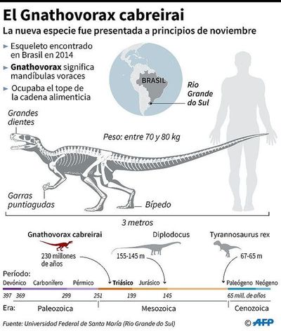 “León” triásico vivió hace millones de años en Brasil - Internacionales - ABC Color