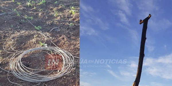 HOMBRE DE 53 AÑOS MUERE ELECTROCUTADO EN YATYTAY.