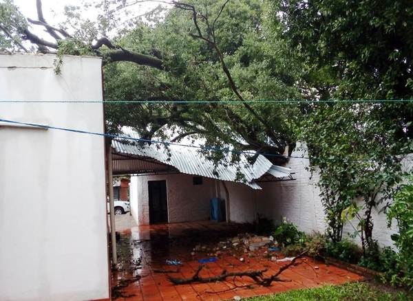 Tormenta: Árbol cae sobre una casa en Julio Correa •