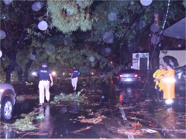 Motociclista muere tras caída de un árbol en Asunción
