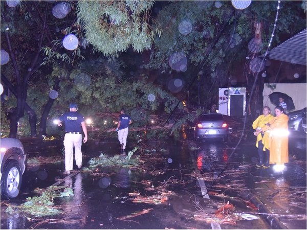 Motociclista muere tras caída de un árbol en Asunción