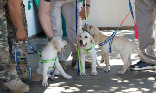 ¡Nuevos héroes peludos! Donan tres caninos a la Senad