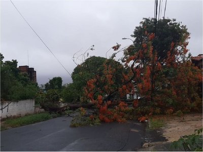 Temporal deja sin luz al 40% de hogares en Asunción y Central
